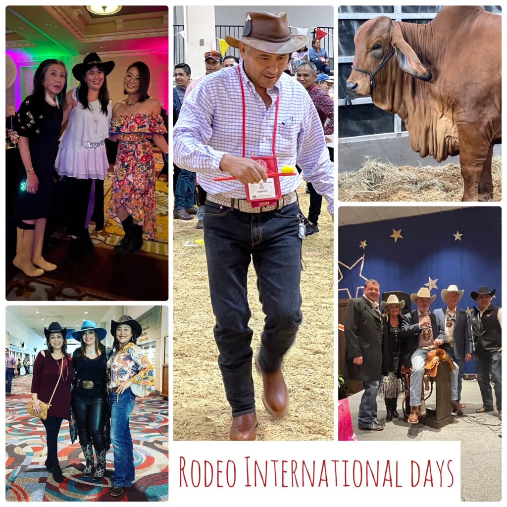 ロデオ尽くしの1週間